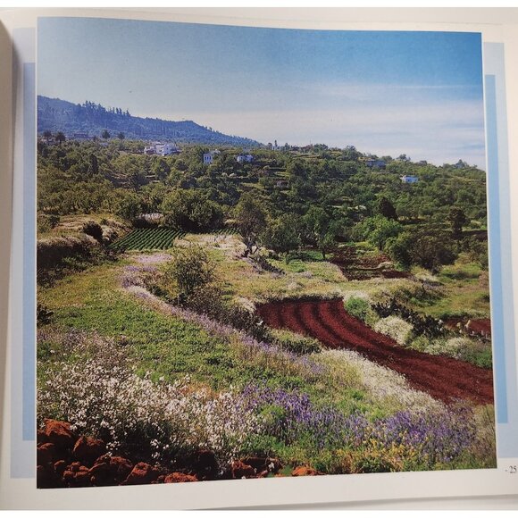 La Palma U Jardin Natural Book Juan José Santos Spain Photographs English Text - Picture 5 of 12